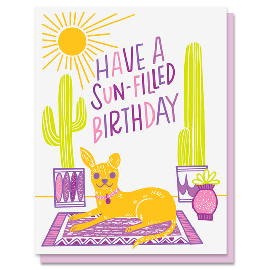 Sun-Filled Birthday Card Case of 6