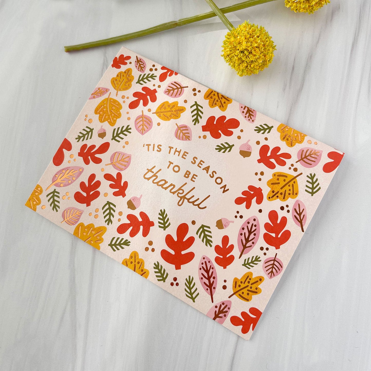 Thankful Season Card Case of 6